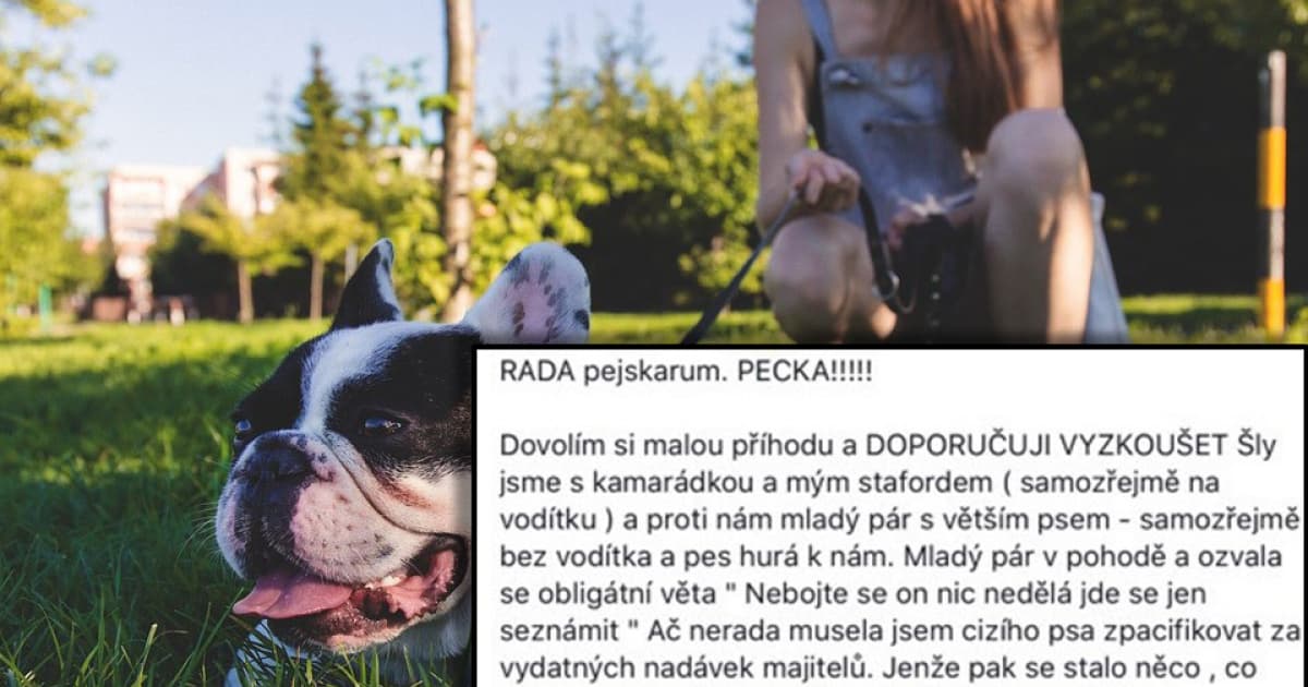 Stala sa jej vtipná príhoda, ktorá vraj môže slúžiť ako rada pre všetkých psíčkari