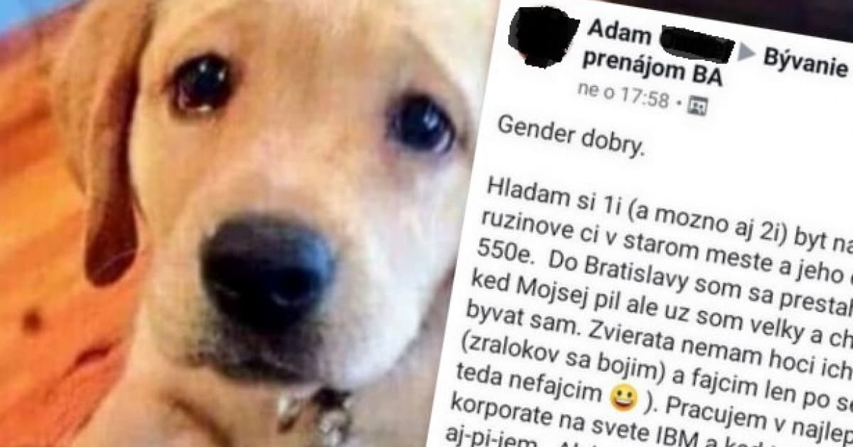 Chalan si hľadá podnájom v Bratislave. Po jeho slovách ho budeš chcieť aj ty!