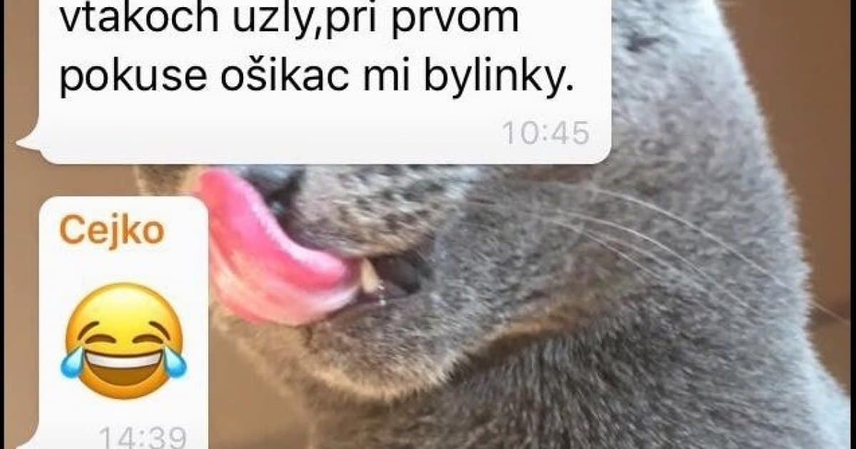 Babka si vysadila nové bylinky. Teraz píše rodine výstražné správy