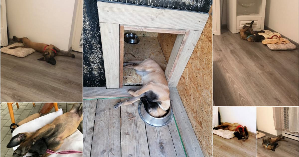 Imro posiela niekoľko fotiek, ako dokáže zaspať jeho 4-mesačná Mya