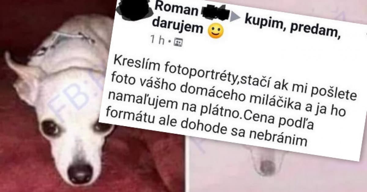 Chlapík ponúka svoj talent: „Buď má silne umelecké sklony alebo silné sebavedomie“