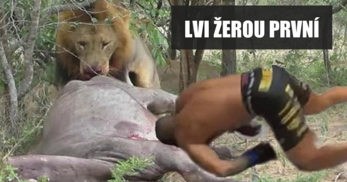 Attila vypol Vémolu už po dvoch minútach. Toto sú najvtipnejšie reakcie!