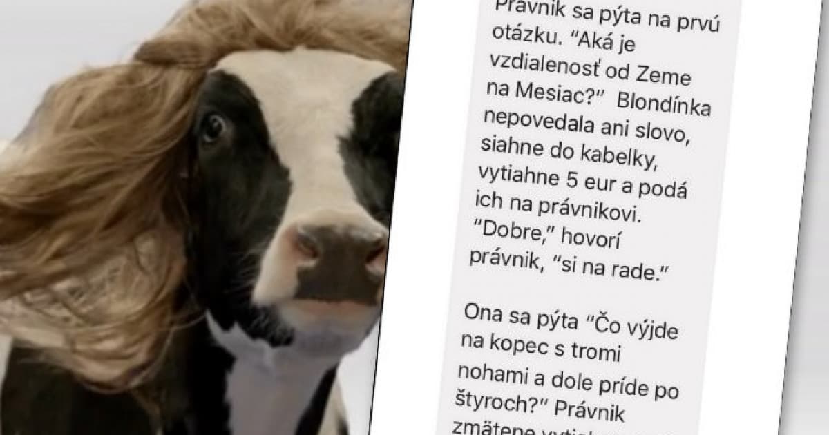 Blondínka a právnik v lietadle. Toto ti zlepší náladu!