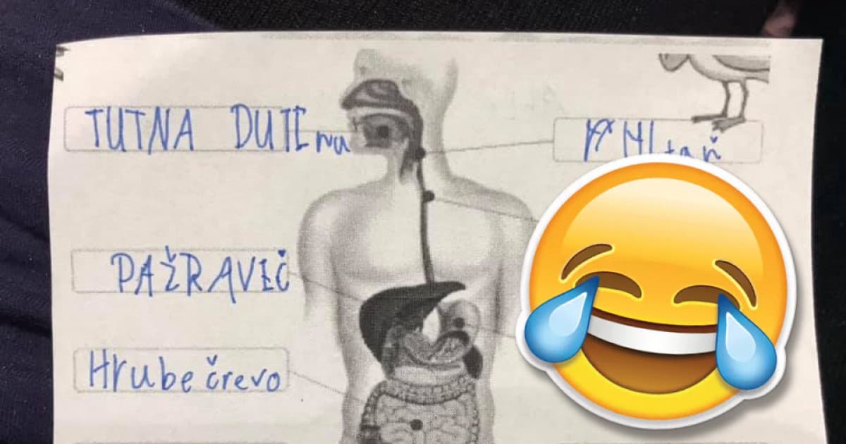 Pažravec či tutna dutina, tento malý tretiak má v pomenovaní tráviacej sústavy človeka jasno