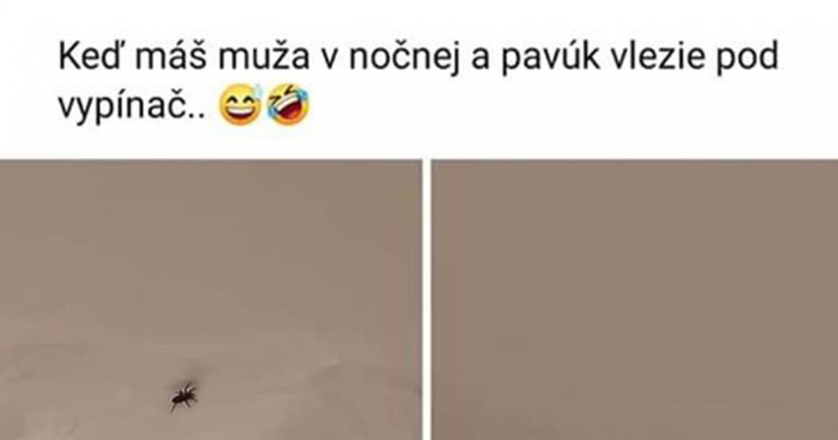 Bála sa pavúka na stene, no jej manžel bol na nočnej. Tak sa takto vynašla..