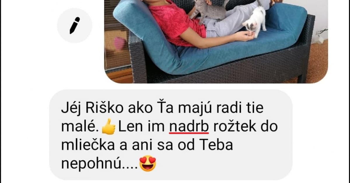 Pobavila ju správa od mamy: „Keď som jej poslala fotku syna s mačkami, odpísala toto“
