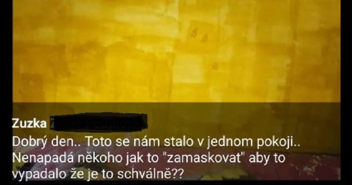 Vymaľovali doma jednu stenu. Takto vyzerá. Teraz hľadá riešenie „ako to zamaskovať“