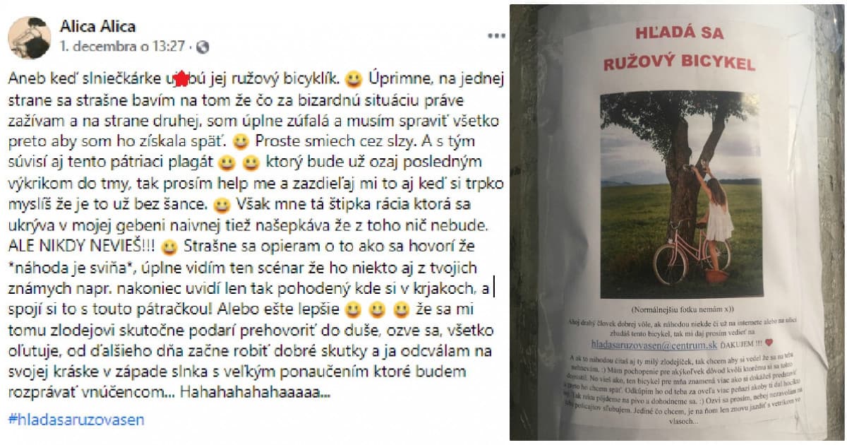 Alici ukradli milovaný bicykel. Nelenila a rozbehla pátraciu kampaň, ku ktorej napísala úsmevný inzerát