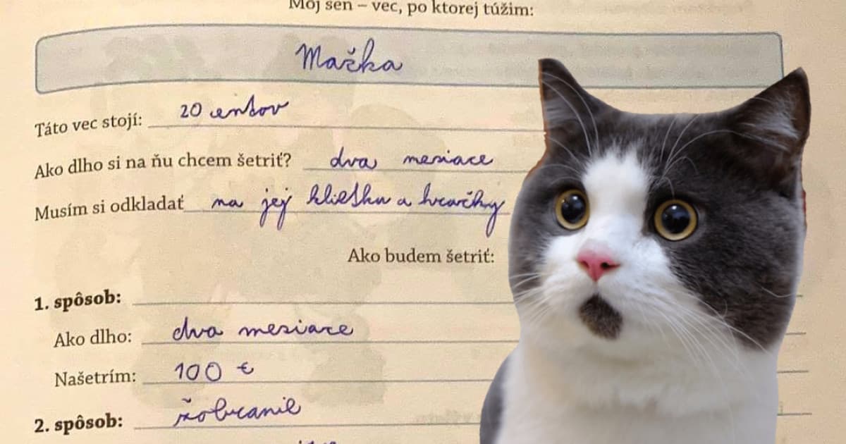 Úloha jeho neter na tému AKO SI SPLNIŤ SEN: „Keď som to zbadal, začínam sa báť o svoj život!“