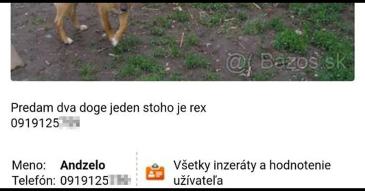 Chlapík zo Spišskej Novej Vsi predáva „dva doge“. Má to však jeden háčik