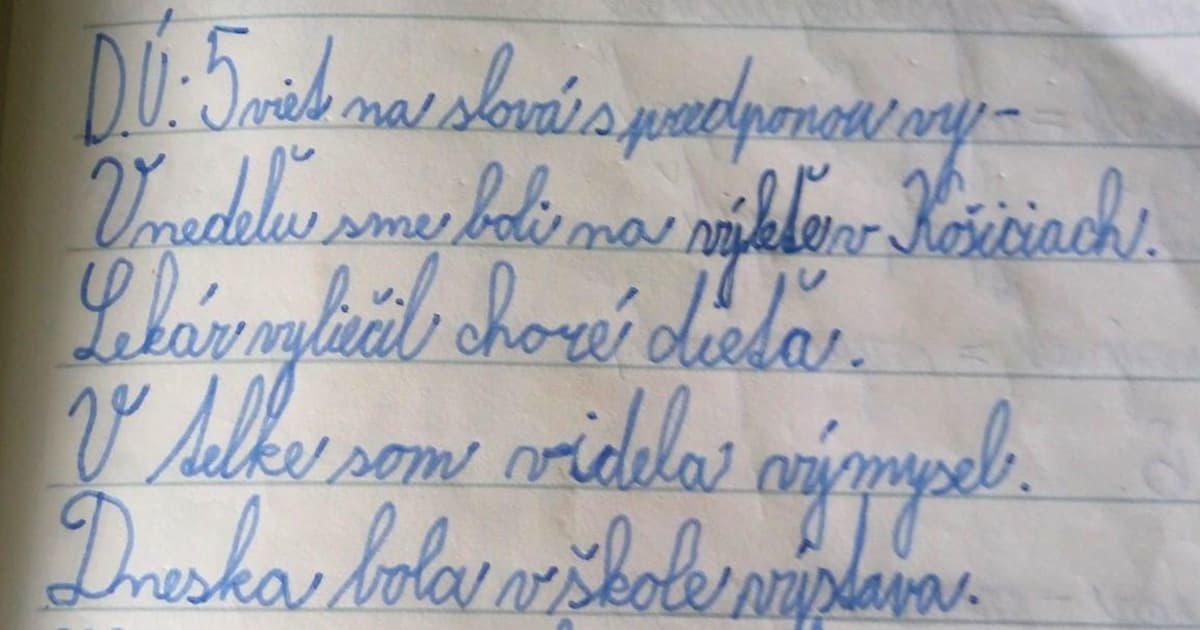 Na úlohu mal napísať vety s predponou „vy“. Tá posledná mu vyšla!