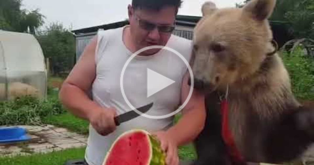 Toto je možné len v Rusku! Chlapík si pochutnáva na melóne so svojim medveďom