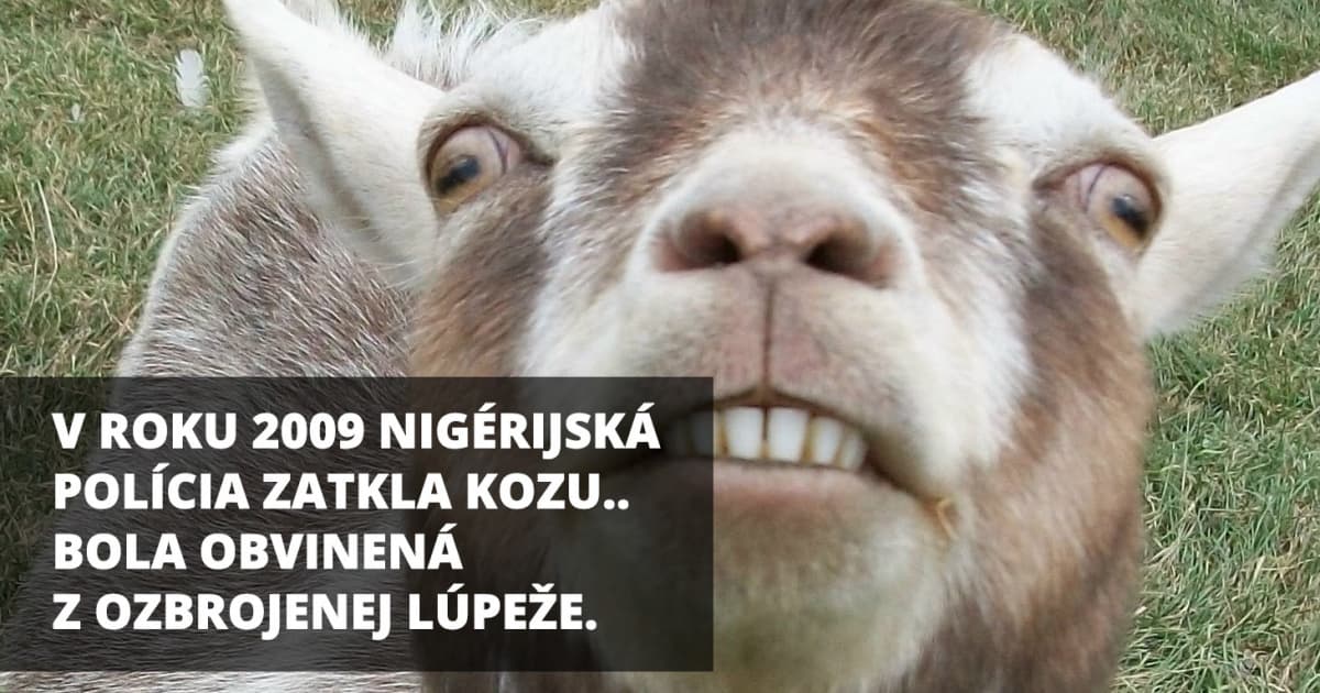 Dnes je svetový deň absurdít. Pozri si zoznam 10 najšialenejších na svete!
