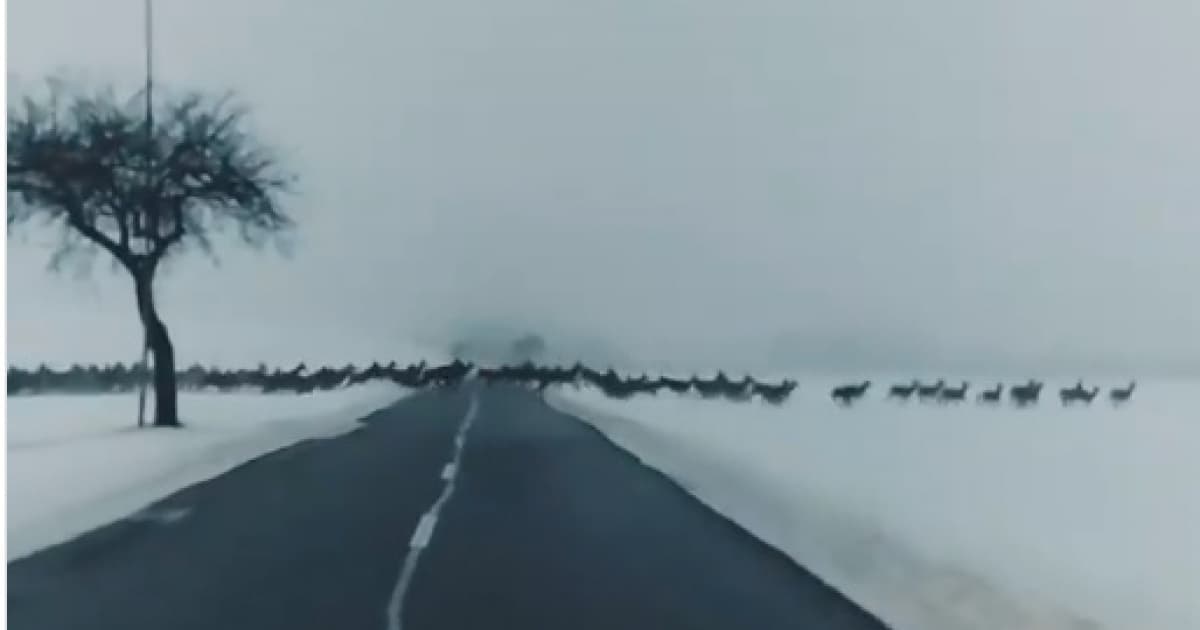Tomuto vodičovi sa cestou do práce pri Bardejove naskytol veľkolepý pohľad