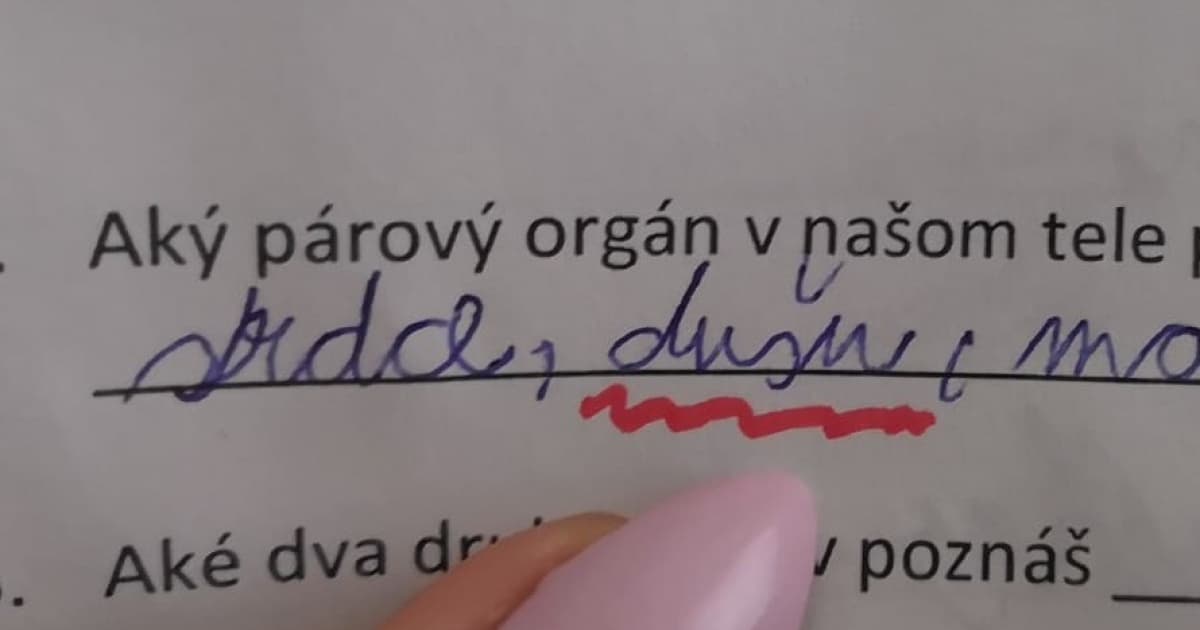 Učiteľka Dominika: „Posielam perličky z výstupného testu štvrtákov. Asi vrátim diplom“