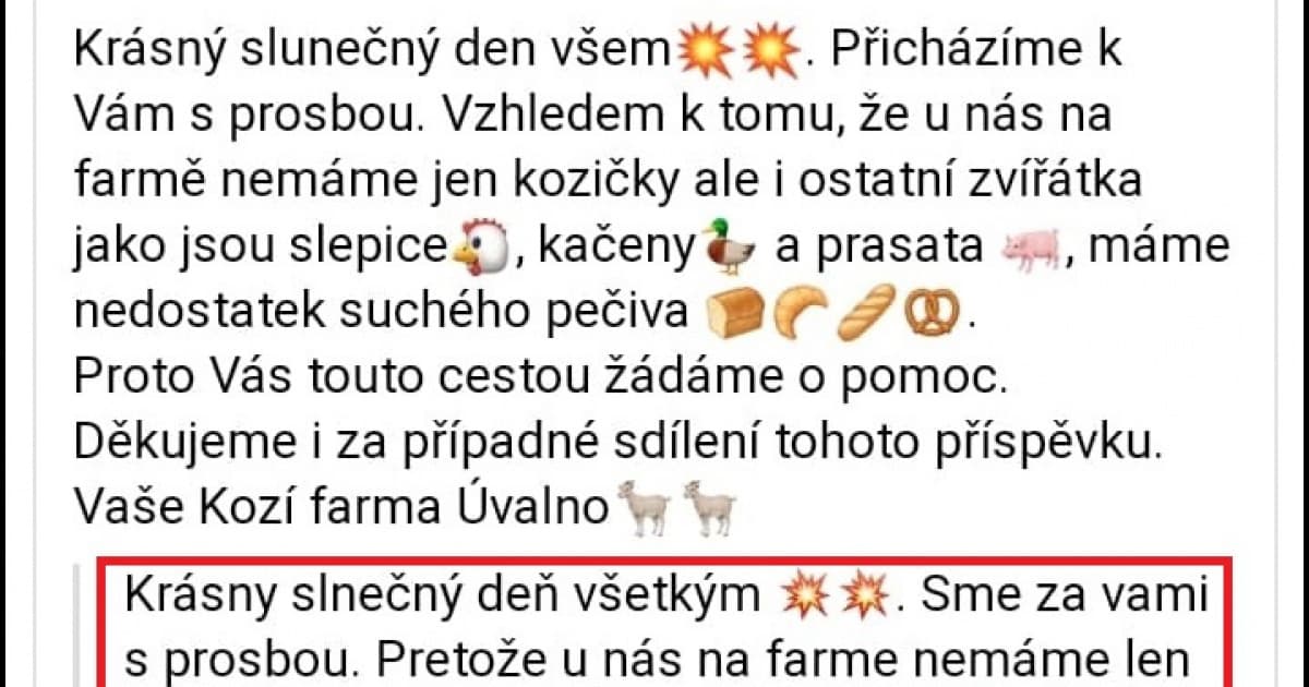Dominika si na Facebooku preložila tento status. Musela nám to poslať!