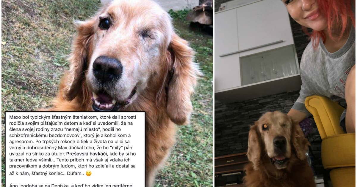 Diana zachránila týraného psa z útulku v Prešove. Jej príbeh si podmanil celé Slovensko