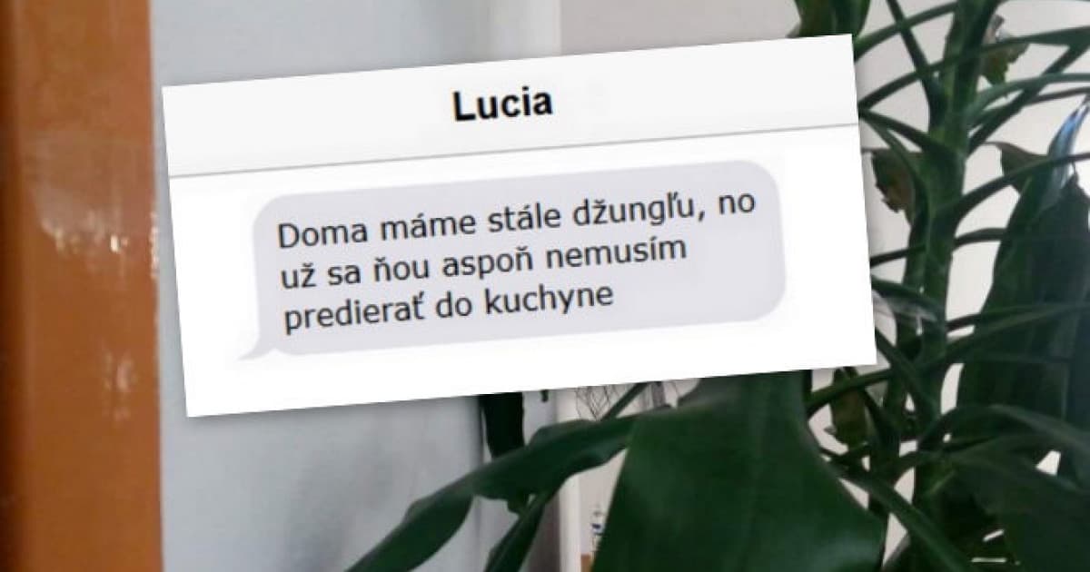 Vadilo jej, že majú doma príliš veľkú palmu. Tak sa o ňu frajer postaral