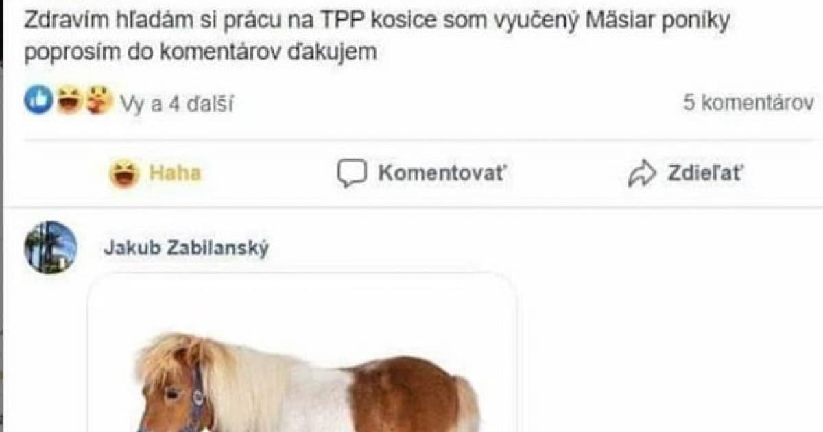 Chlapík z Košíc si hľadal prácu na Facebooku. „Poníky“ poprosil do komentárov, tak mu vyhoveli