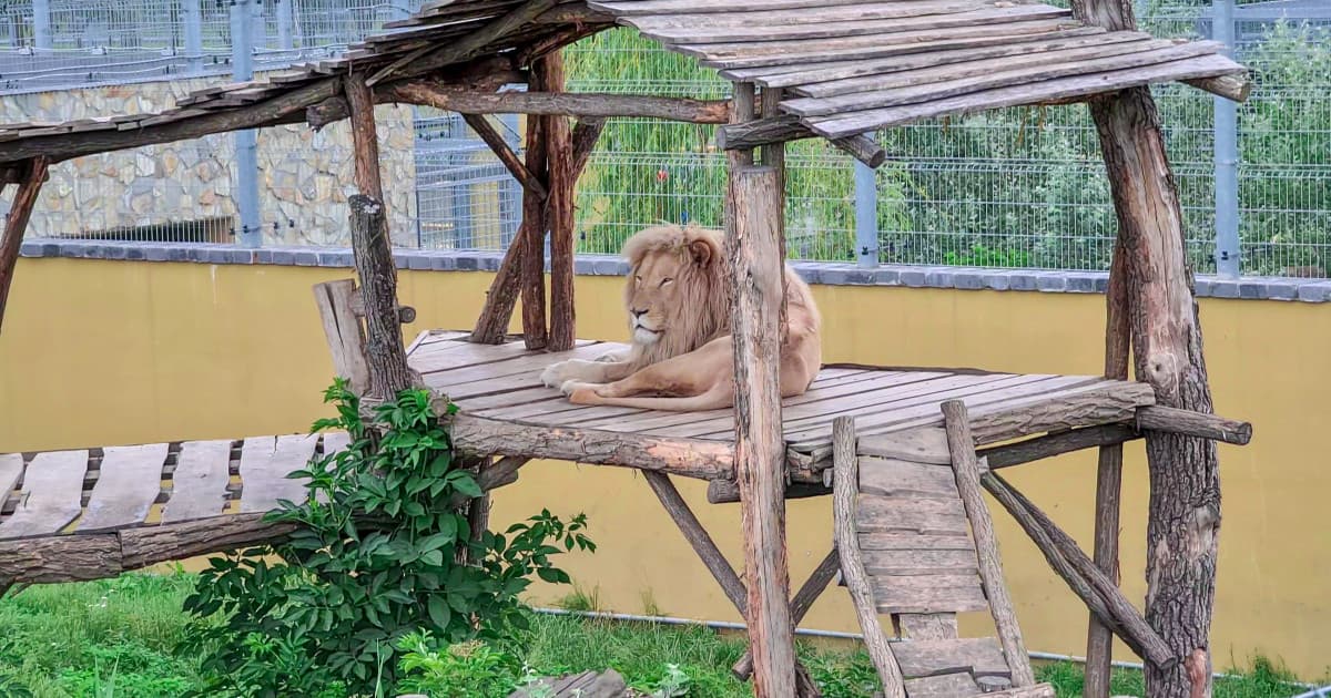 SLOVENSKO JE PRIMA: Malkia Park - nová šanca na život pre zvieratá z nevhodných podmienok