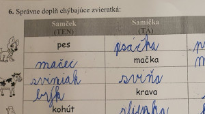 Samec mačky? Mláďa kravy? Takýto test doma riešil malý Matúš