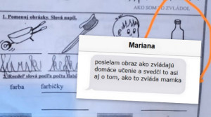 Jej sestra má dvojičky prvákov. Takto zvládajú domáce učenie