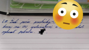 Počas prestávky robil „niečo“ spolužiakovi na WC. Tak domov priniesol poznámku!