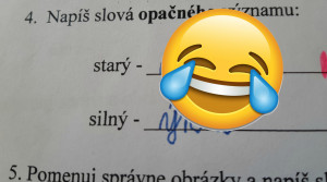 Učiteľka Daniela poslala čerstvé úlovky svojich žiakov. TOTO NEMÁ CHYBU!
