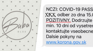 BUBA BLOG: Nemám Miša. Mám Covid