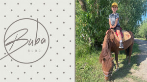 BUBA BLOG: Prešiel ma kôň